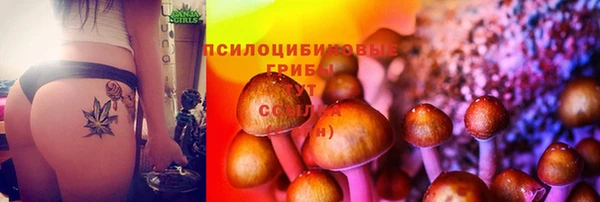 бутират Алексин