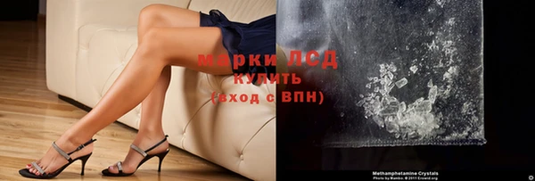 ГАЛЛЮЦИНОГЕННЫЕ ГРИБЫ Алзамай