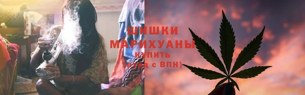 ГАЛЛЮЦИНОГЕННЫЕ ГРИБЫ Алзамай