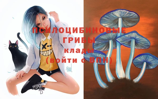 бутират Алексин