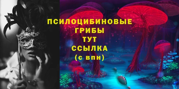 ГАЛЛЮЦИНОГЕННЫЕ ГРИБЫ Алзамай