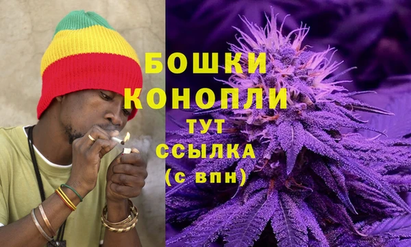 ГАЛЛЮЦИНОГЕННЫЕ ГРИБЫ Алзамай